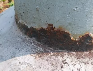 Rost