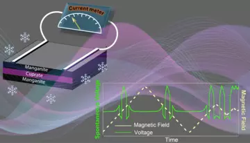 Manganit/Cuprat-Dünnschicht: Grafik