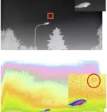 Wärmebild von Fledermaus