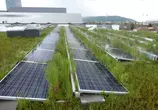 PV