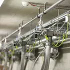 Schutzpotenzialausgleich